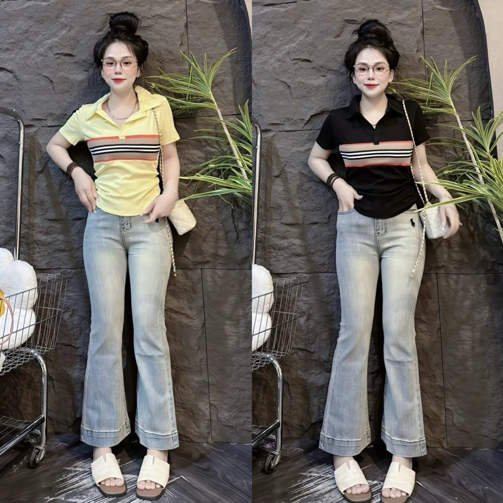 [ Có size 38kg - 58kg ]Áo thun nữ Pô Lô Sọc viên trước PHOM ÔM ( Pô Lô Viền B 151 ) Polo Top