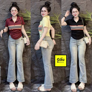 Áo thun nữ Pô Lô Sọc viên trước PHOM ÔM ( Pô Lô Viền B 151 ) Polo Top