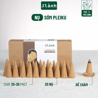 Nụ Thủ Công 3 Lành Hộp Sớm Pleiku Phối Hương 20 Nụ Xông Thơm 100 % Tự Nhiên Không Hóa Chất Tặng Kèm Đế Chăm