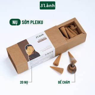 Nụ Thủ Công 3 Lành Hộp Sớm Pleiku Phối Hương 20 Nụ Xông Thơm 100 % Tự Nhiên Không Hóa Chất Tặng Kèm Đế Chăm