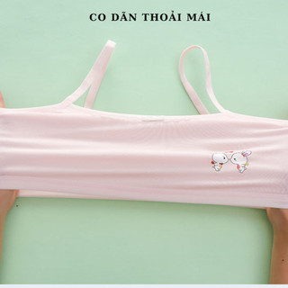 Áo lá bé gái tuổi dậy thì chất cotton thấm hút co dãn thoải mái họa tiết thỏ xinh xắn HOMEBRA B538