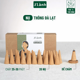 Nụ Thủ Công Thông Đà Lạt 3 Lành Hộp 20 Nụ Xông Thơm 100 % Tự Nhiên Không Hóa Chất Tặng Kèm Đế Chăm