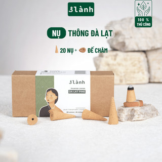 Nụ Thủ Công Thông Đà Lạt 3 Lành Hộp 20 Nụ Xông Thơm 100 % Tự Nhiên Không Hóa Chất Tặng Kèm Đế Chăm