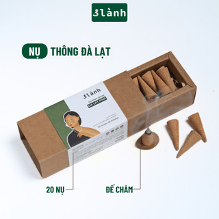 Nụ Thủ Công Thông Đà Lạt 3 Lành Hộp 20 Nụ Xông Thơm 100 % Tự Nhiên Không Hóa Chất Tặng Kèm Đế Chăm