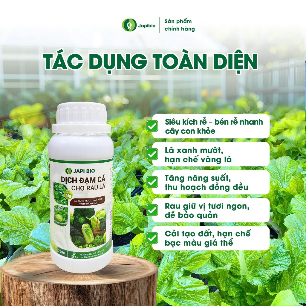 Đạm Cá Hữu Cơ JapiBio 250ml – Phân Bón Lá Nguyên Chất Không Mùi, Kích Rễ Nuôi Lá Cho Rau Ăn Lá