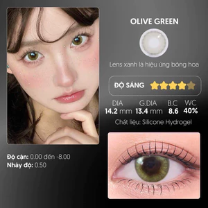 LENS OLIVE GREEN