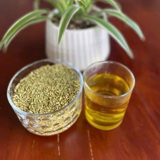Hoa hoè thái bình đã sao thơm, bền mạch má, chống xơ vữa động mạch, ổn huyết áp