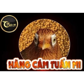 Cám Hoạ Mi công số 2 | Nâng cao lửa| Cám công mạnh| duy trì và giữ lửa (Tuấn Mi) gói 200g