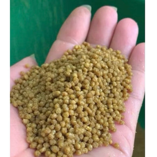 Cám Hoạ Mi dưỡng số 1 | Nâng lửa| Vỗ béo| duy trì dinh dưỡng quanh năm (Tuấn Mi) gói 200g