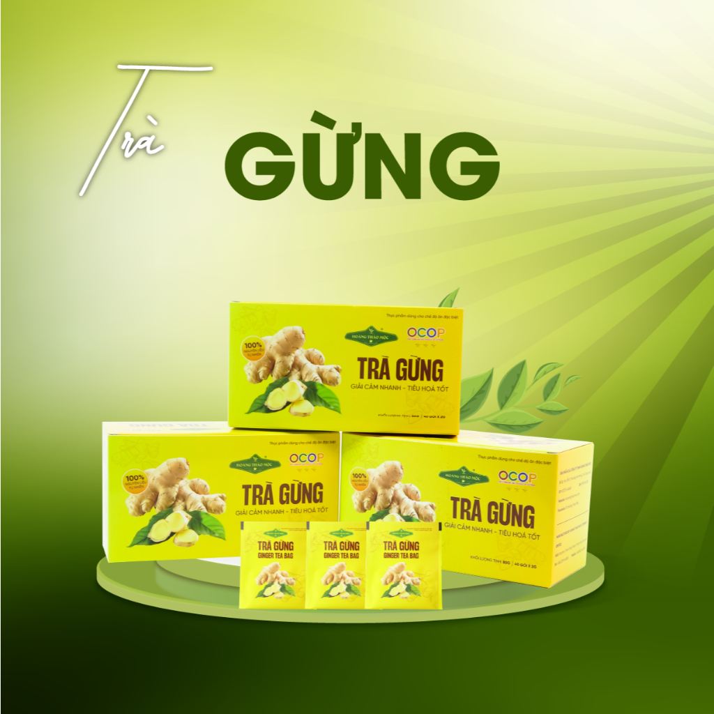 Trà Gừng Hoàng Thảo Mộc Túi lọc