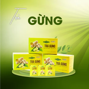 Trà Gừng Trà Thải Độc Hoàng Hãng Thảo Mộc Chính Hãng [Hộp 40 túi lọc]