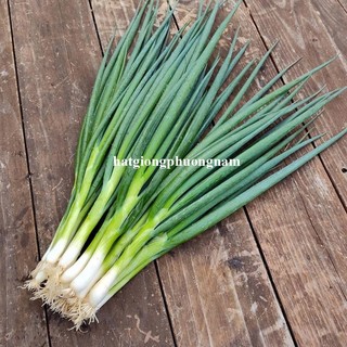 2 Gram - Hạt Giống Hành Lá Phương Nam