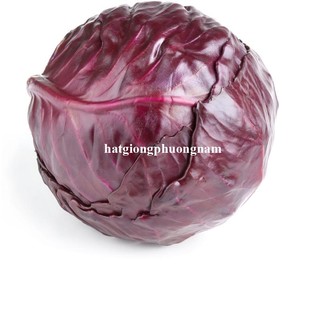 0,5 Gram - Hạt Giống Bắp Cải Tím Phương Nam