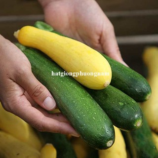 2 Gram - Hạt Giống Bí Ngòi (Thạch Anh + Xanh) Op Mix Phương Nam