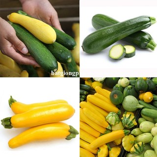 2 Gram - Hạt Giống Bí Ngòi (Thạch Anh + Xanh) Op Mix Phương Nam