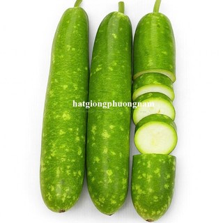 10 Hạt - Hạt Giống Bầu Sao Lai Phương Nam