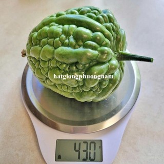 5 Hạt - Hạt Giống Khổ Qua Trái Tim F1 Phương Nam
