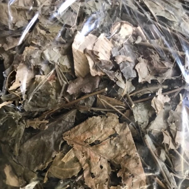 Cây ba chạc khô 1kg tốt cho sức khỏe