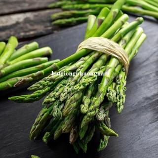 0.5 Gram - Hạt Giống Măng Tây Chịu Nhiệt Năng Suất Khủng Phương Nam