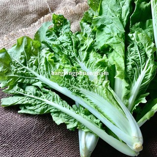 10 Gram  - Hạt Giống Cải Bẹ Dún Phương Nam