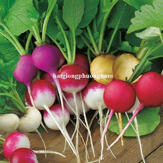 0.5 Gram - Hạt Giống Củ Cải Cherry Mix Phương Nam