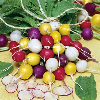 0.5 Gram - Hạt Giống Củ Cải Cherry Mix Phương Nam