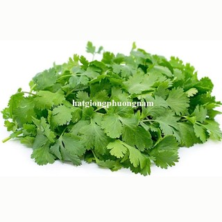 20 Gram - Hạt Giống Ngò (Rau Mùi) Phương Nam