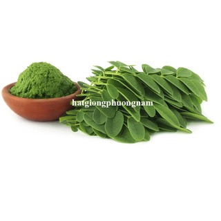 5 Gram - Hạt Giống Chùm Ngây Phương Nam