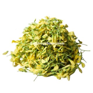 1 Gram - Hạt Giống Điên Điển Phương Nam