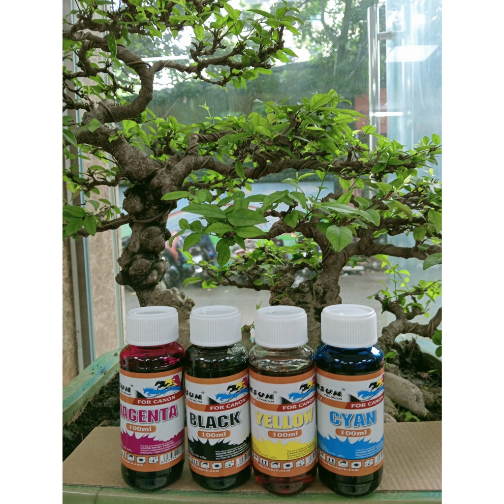 Mực in kháng bay màu/Canon Dye UV Inksun 100ml đủ màu BK in bền đẹp – Máy In Tốt