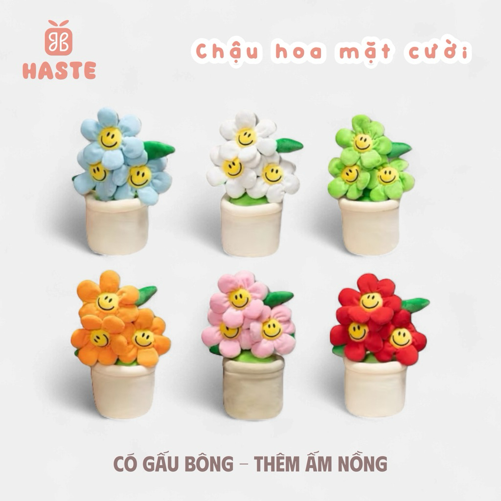 Chậu Hoa Vui Vẻ Mặt Cười Smile Nhồi Bông Mịn Tặng Bạn Gái Phụ Nữ Việt Nam Dễ Thương 