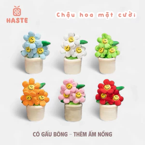 Chậu Hoa Vui Vẻ Mặt Cười Smile Nhồi Bông Mịn Tặng Bạn Gái Phụ Nữ Việt Nam Dễ Thương