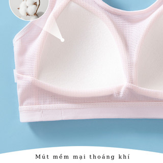 Áo bra thể thao có mút lưng phối lưới thoáng mát, Áo lót học sinh chất cotton co dãn thoải mái B612