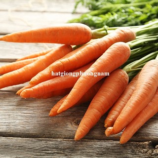3 Gram - Hạt Giống Cà Rốt Thường Phương Nam