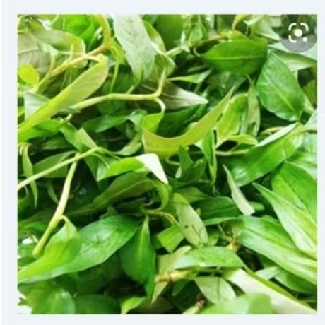 Rau răm 200g | Shopee Việt Nam