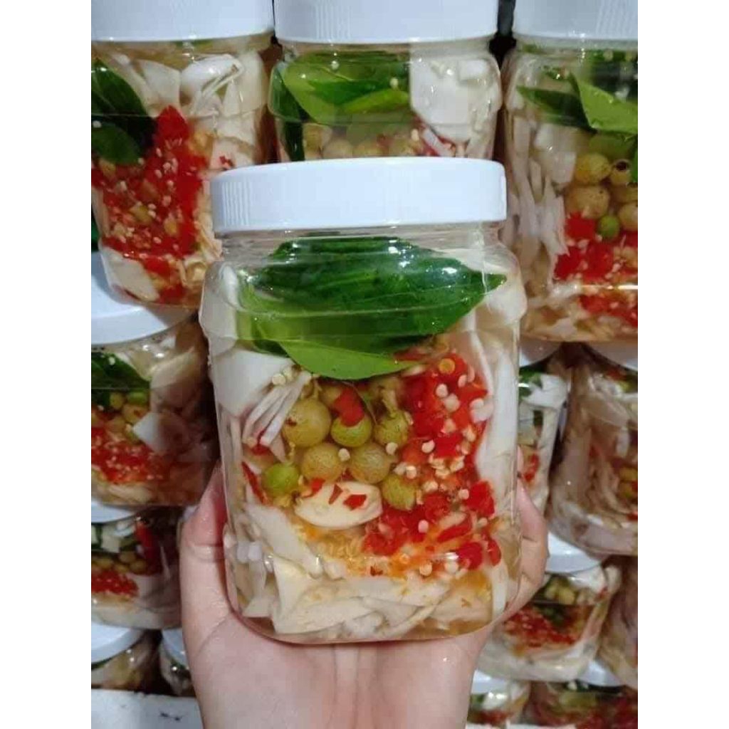 Cây Giống Móc Mật Chuyên Lấy Lá Làm Thịt Nướng ăn rất ngon