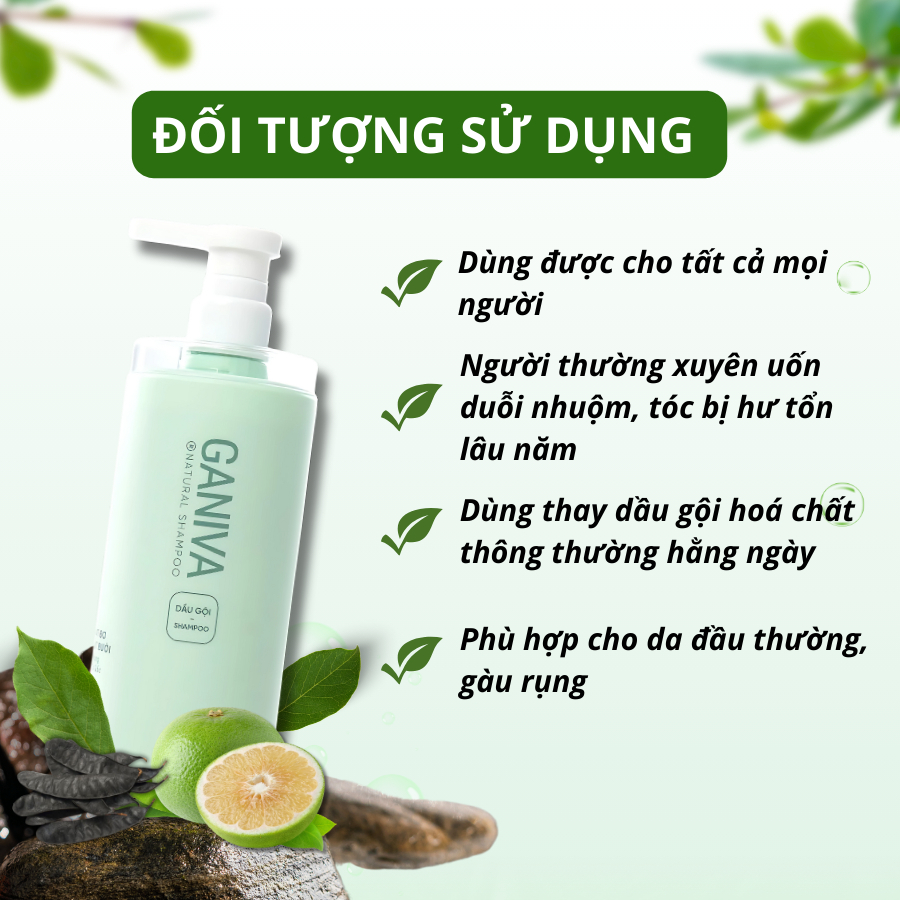 Chất Lượng Dầu Gội Bưởi Mọc Tóc Tiêu Chuẩn