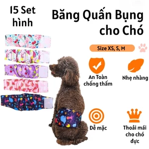 Quần Sinh Lý, Tả Quấn Bụng Chó Đực, Chống Thấm Mưa, Sử Dụng Nhiều Lần - Quấn Bụng Vải, Thấm Hút Nước