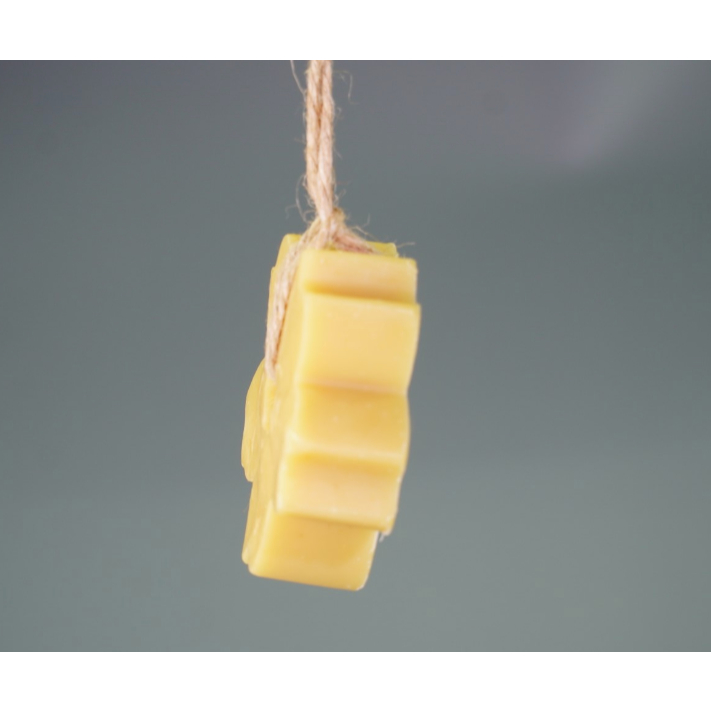 Xà phòng Rửa Mặt Tía Tô, Nghệ SingSong