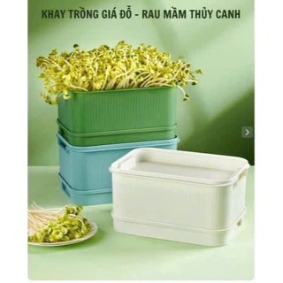 Combo 2 Khay Làm Giá Có Nắp Đậy, Khay Thủy Sinh, Dụng Cụ Trồng Rau Mầm Không Dùng Đất,Không Hoá Chất