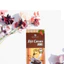 Combo 10 hộp bột Cacao 2 in 1 organic 200gr Nam Trường Sơn Daklak