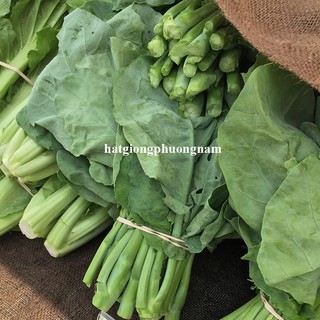 5 Gram - Hạt Giống Cải Rổ Phương Nam