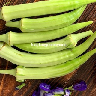 20 Gram - Hạt  Giống Đậu Bắp Phương Nam