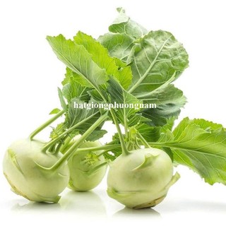 2 Gram  - Hạt Giống Su Hào Xanh Phương Nam