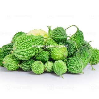 10 Hạt - Hạt Giống Khổ Qua Rừng Phương Nam