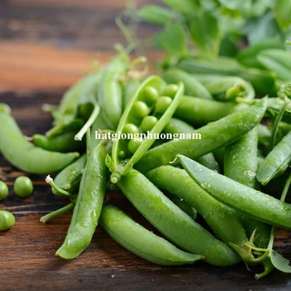 5 Gram - Hạt Giống Đậu Hà Lan Bụi Lùn Phương Nam