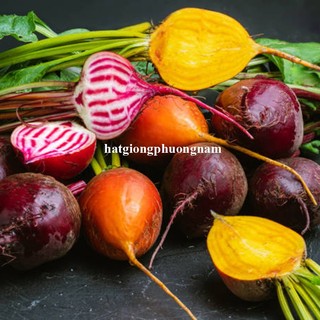 50 Hạt - Hạt Giống Củ Dền Cầu Vòng Phương Nam