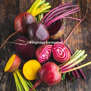 50 Hạt - Hạt Giống Củ Dền Cầu Vòng Phương Nam