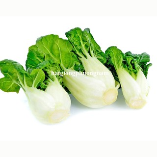 200 Hạt - Hạt Giống Cải Bok Choy Tím / Trắng Phương Nam