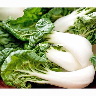 200 Hạt - Hạt Giống Cải Bok Choy Tím / Trắng Phương Nam